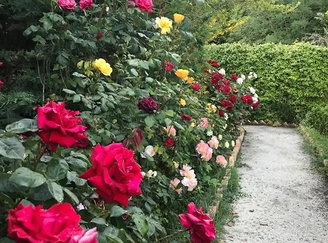 La Casa Di G.g. Bed & Breakfast