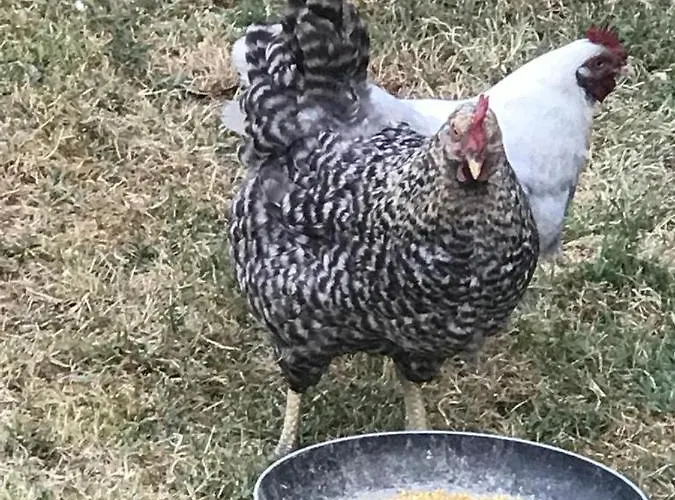 La Casa Di G.g. Bed & Breakfast