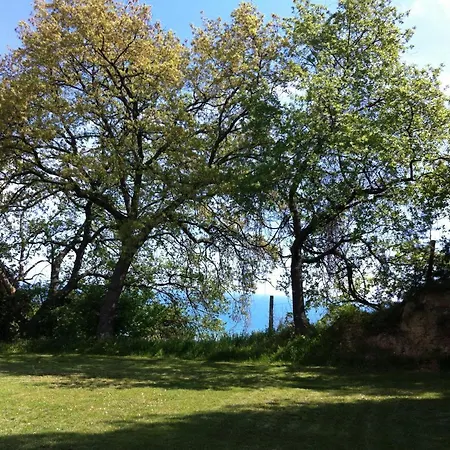 La Casa Di G.g. ベッド・アンド・ブレックファスト 3*