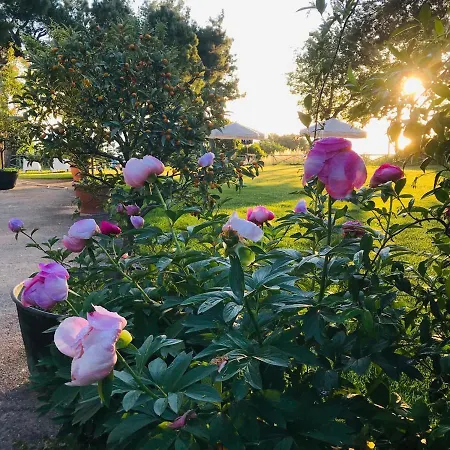 La Casa Di G.g. ベッド・アンド・ブレックファスト 3*