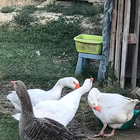 La Casa Di G.g. Grottammare