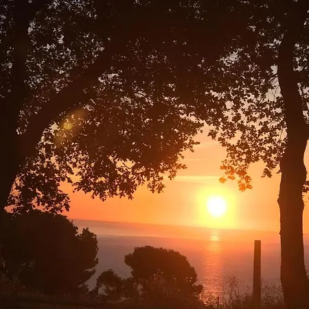 La Casa Di G.g. ベッド・アンド・ブレックファスト 3*