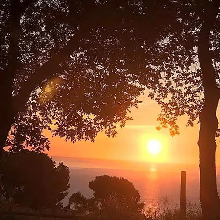 Bed & Breakfast La Casa Di G.g. Grottammare